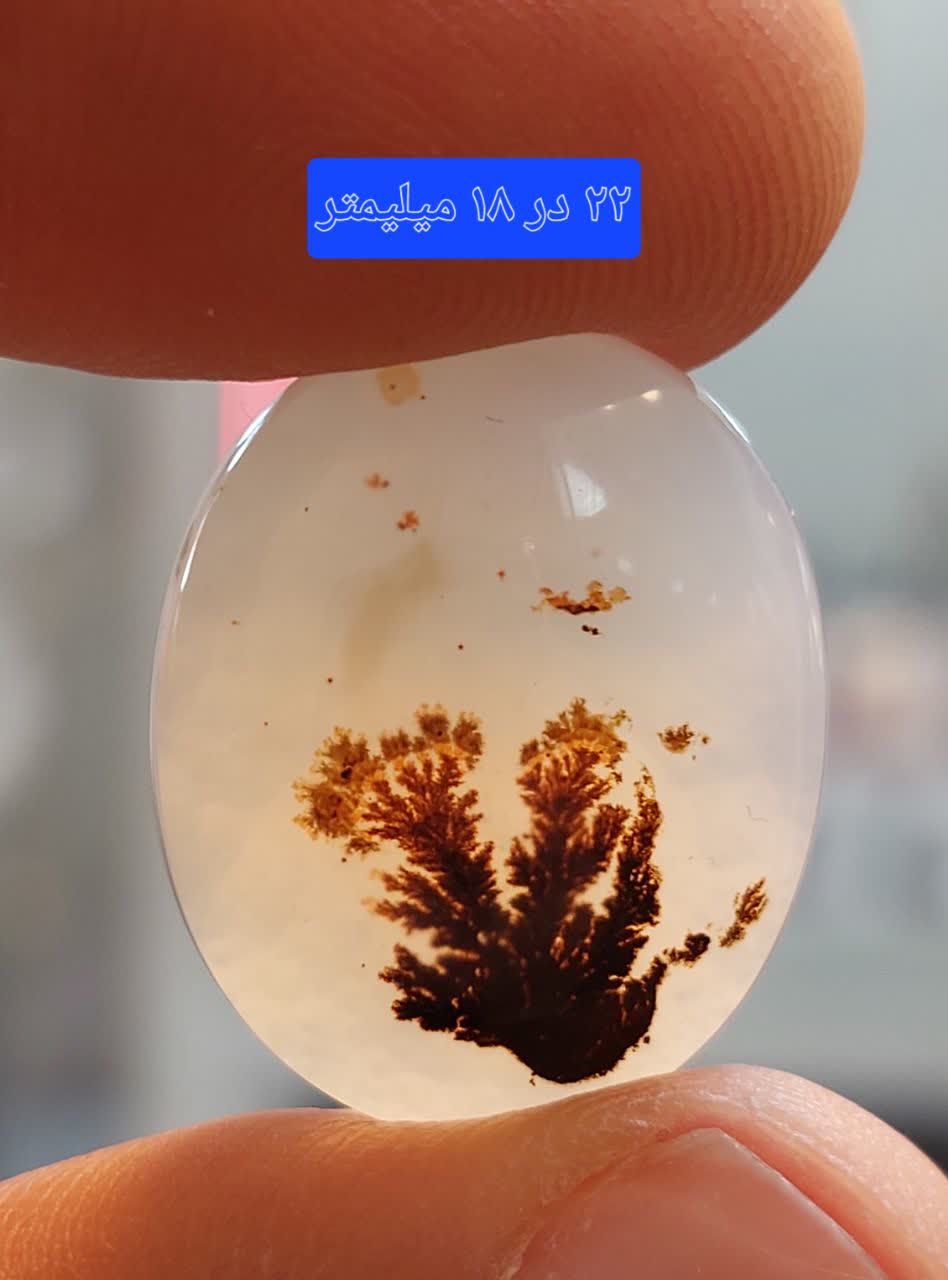 سنگ شجر قائن معدنی و طبیعی