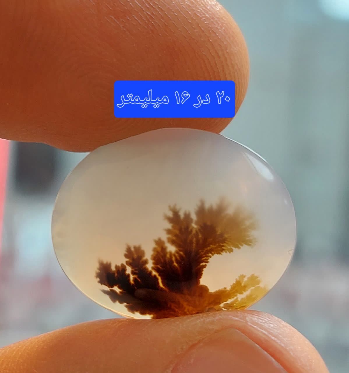 سنگ شجر قائن معدنی و طبیعی