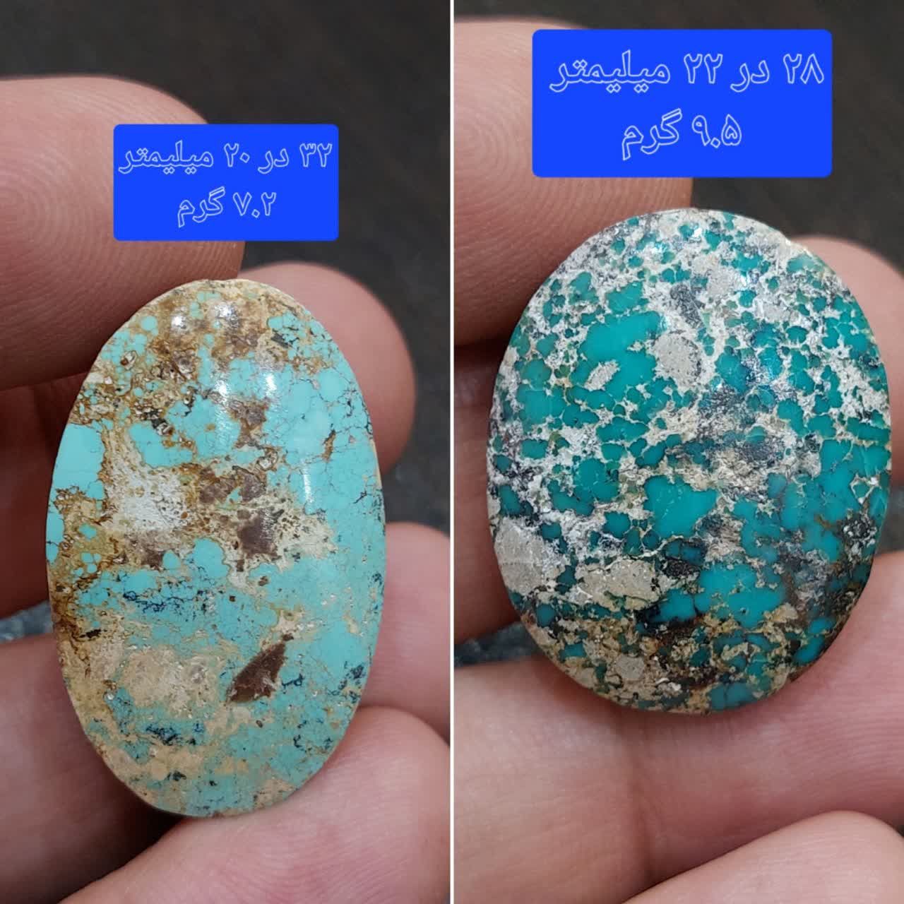 دو عدد سنگ فیروزه نیشابوری معدنی و طبیعی
