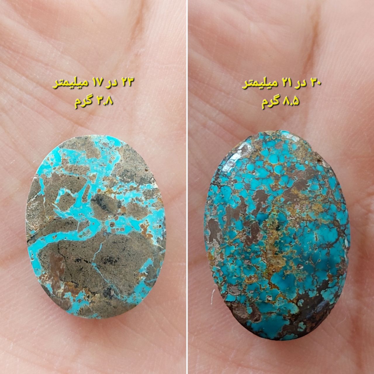 دو عدد سنگ فیروزه نیشابوری معدنی و طبیعی