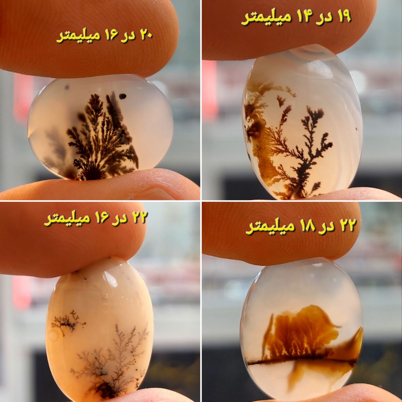 چهار عدد شجر قائن معدنی و طبیعی