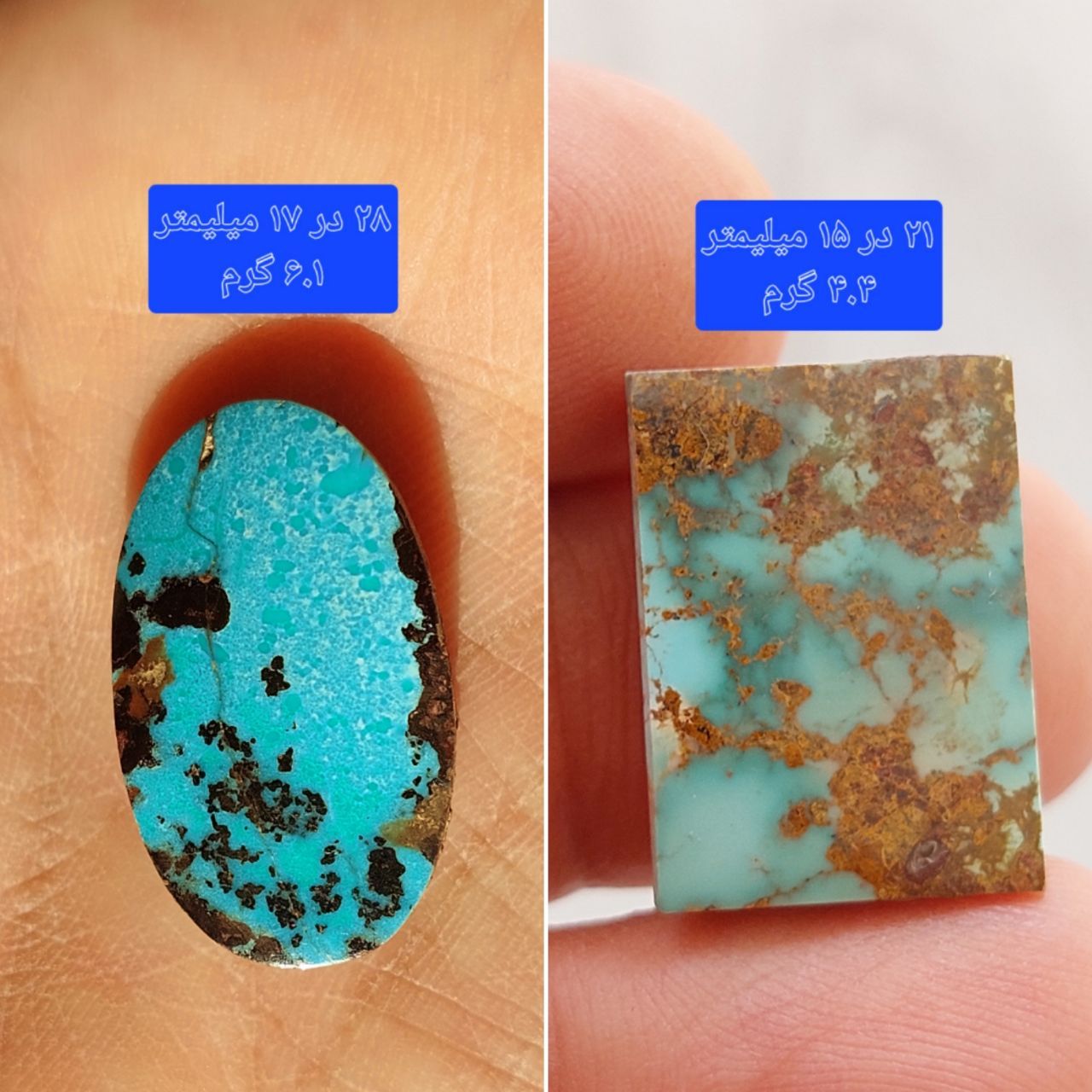 دو عدد سنگ فیروزه نیشابوری معدنی و طبیعی