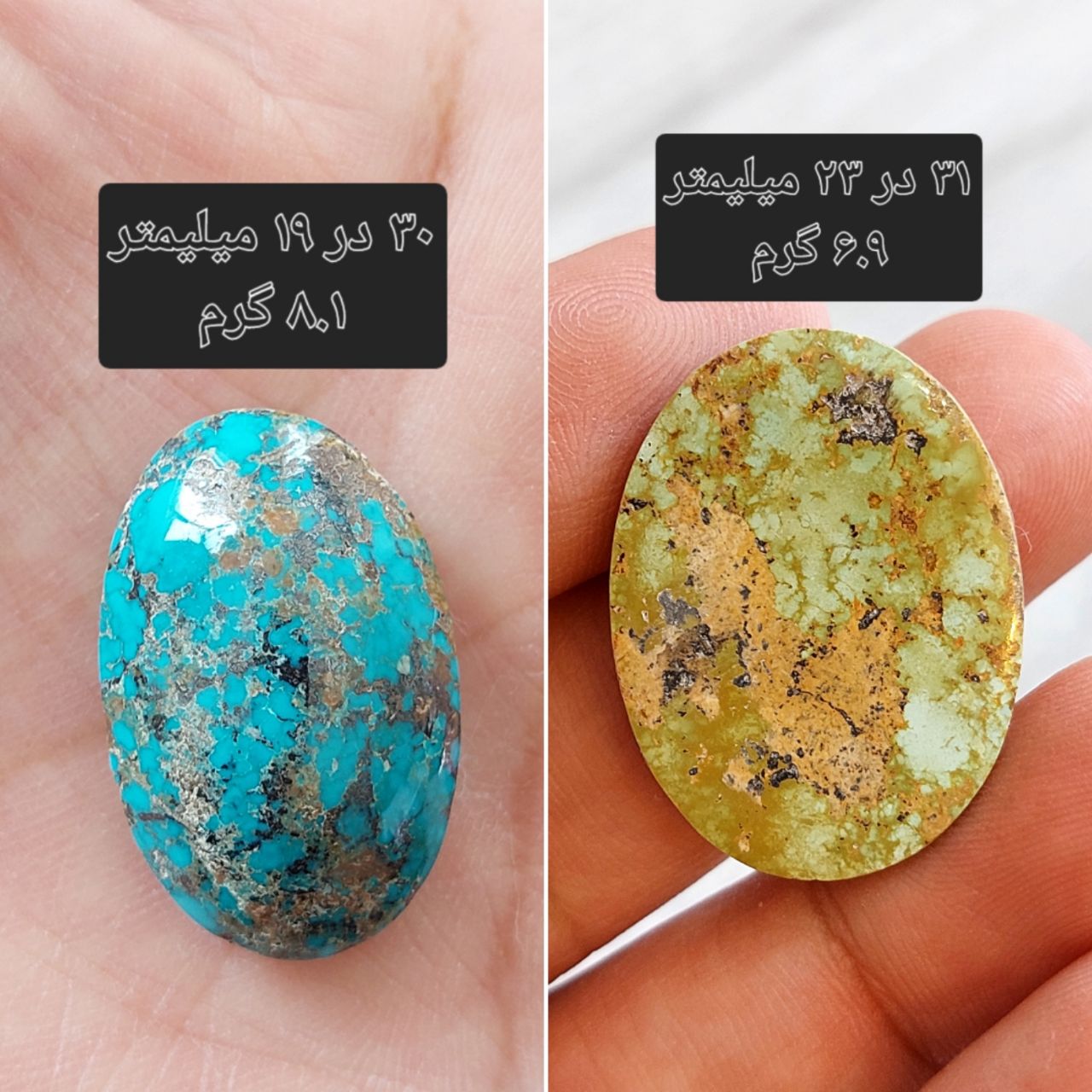 دو عدد سنگ فیروزه نیشابوری معدنی و طبیعی