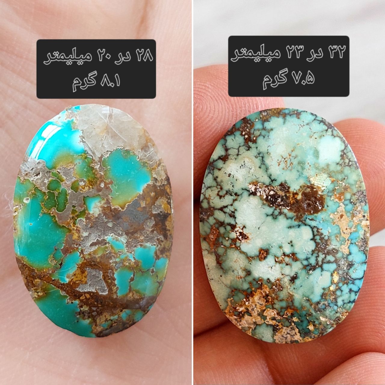 دو عدد سنگ فیروزه نیشابوری معدنی و طبیعی