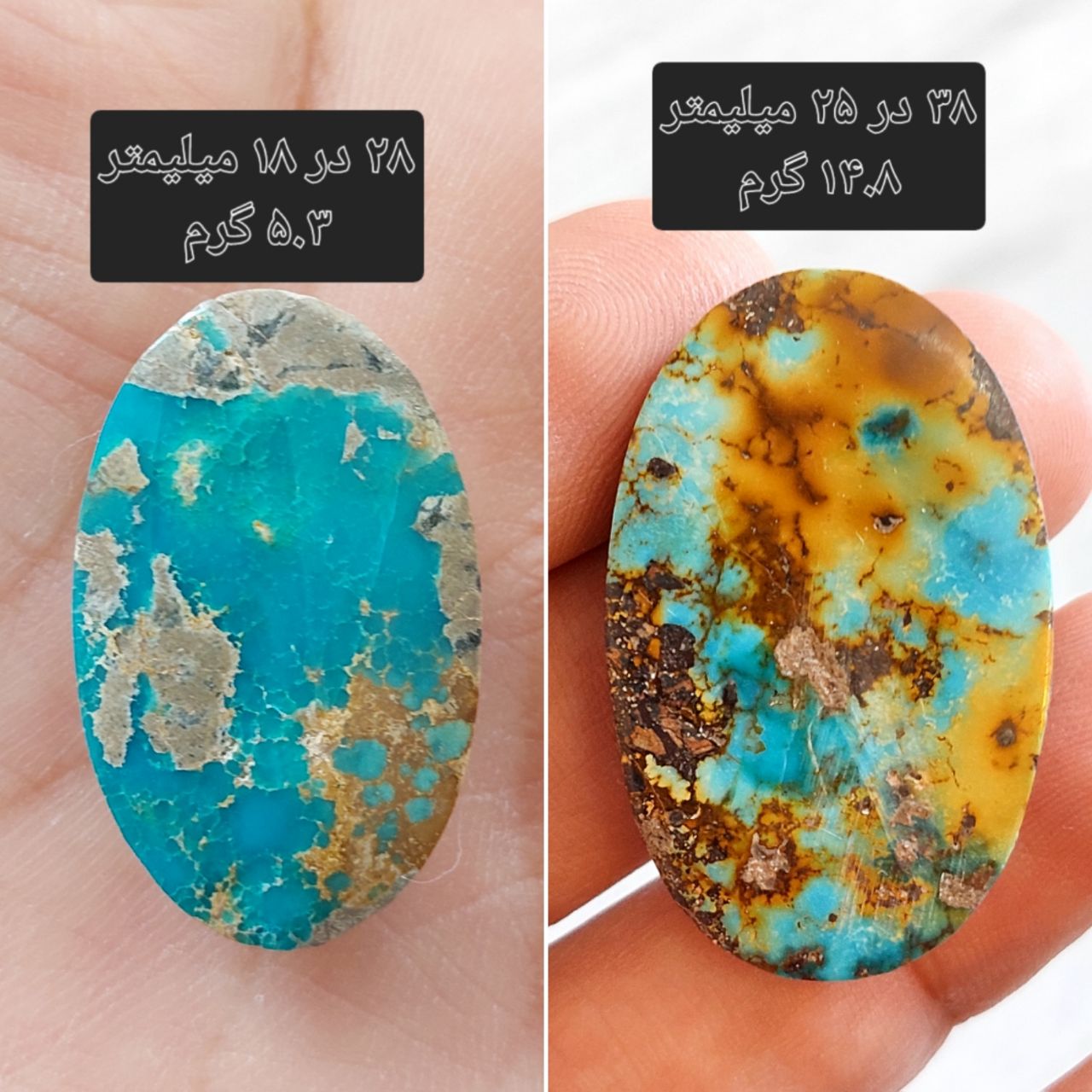 دو عدد سنگ فیروزه نیشابوری معدنی و طبیعی
