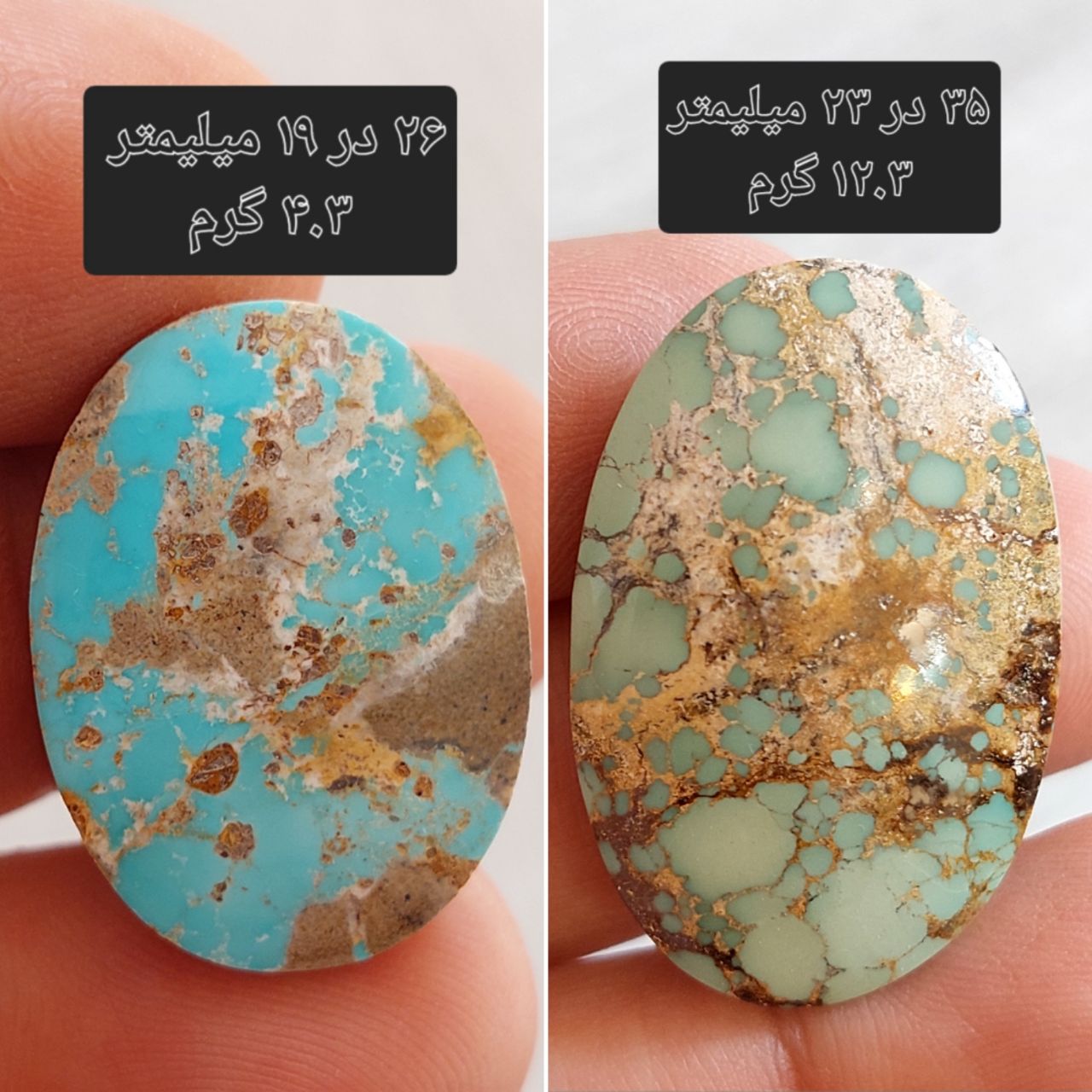 دو عدد سنگ فیروزه نیشابوری معدنی و طبیعی