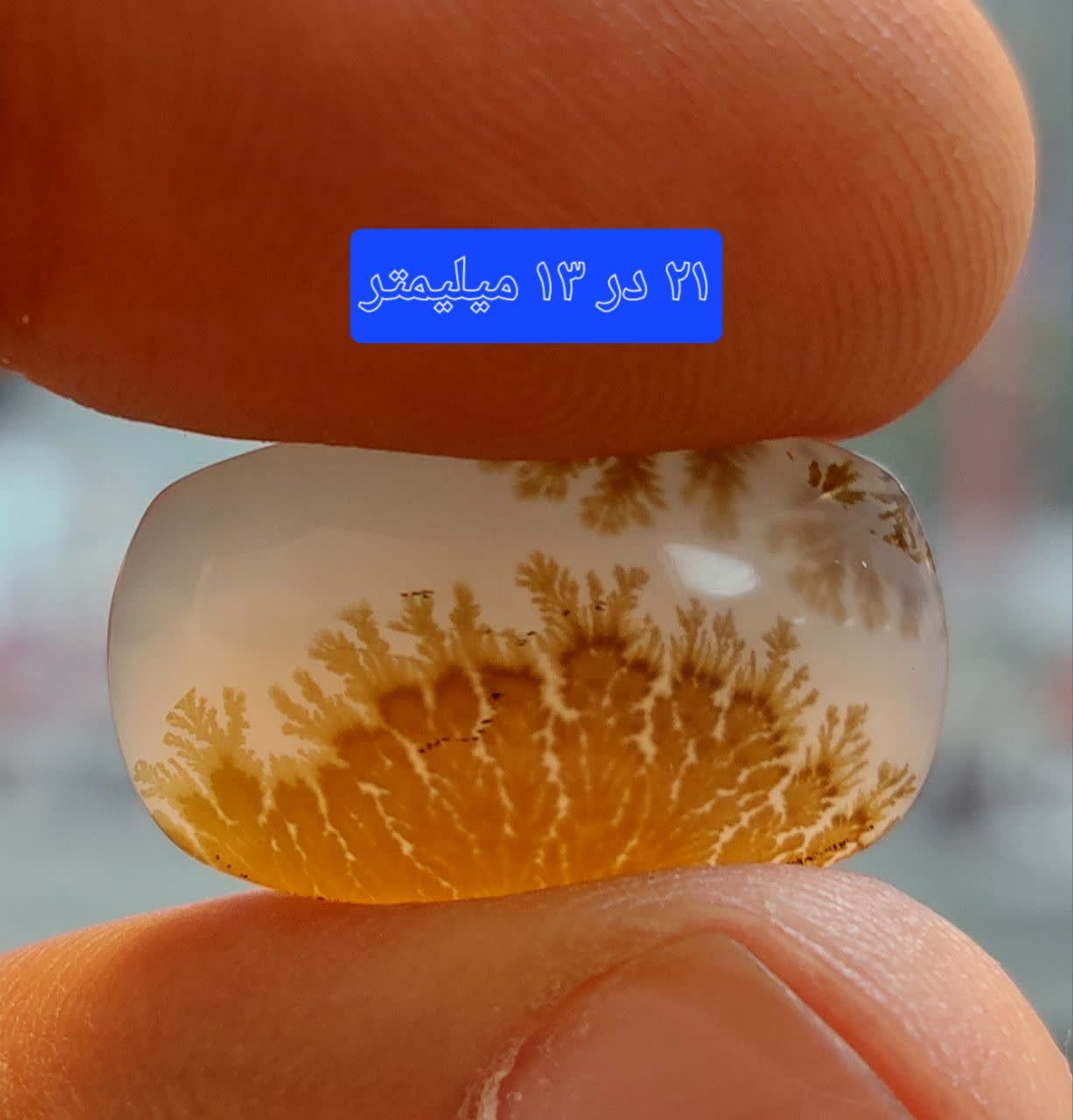 سنگ شجر قائن معدنی و طبیعی