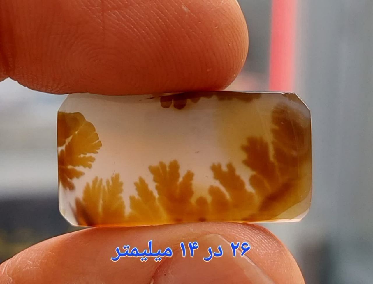 سنگ شجر قائن معدنی و طبیعی